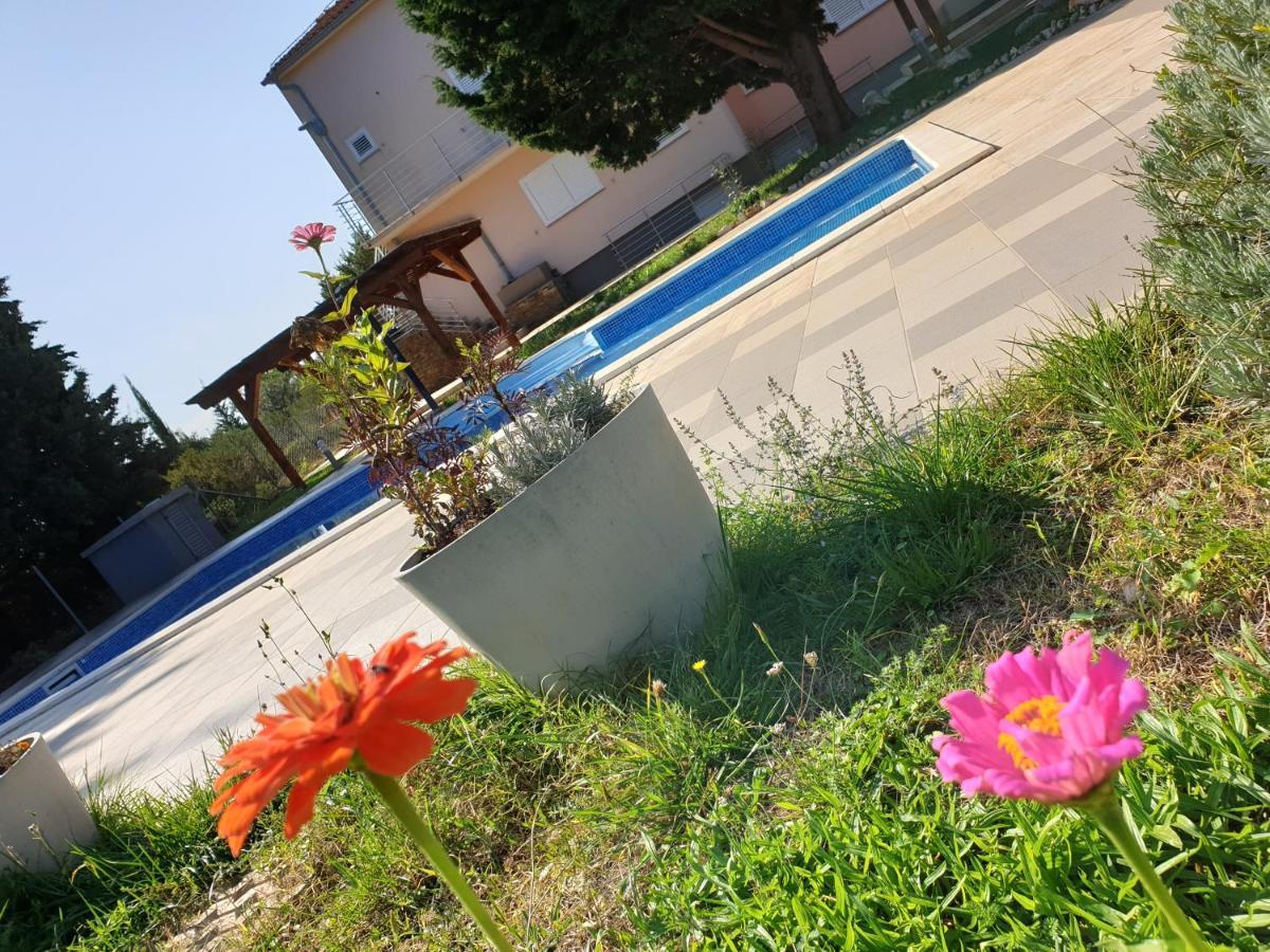 Olive Apartments Ugljan Ngoại thất bức ảnh